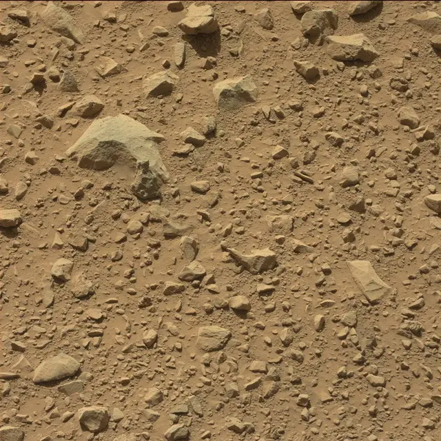 Sol 494: Mast Camera (Mastcam)