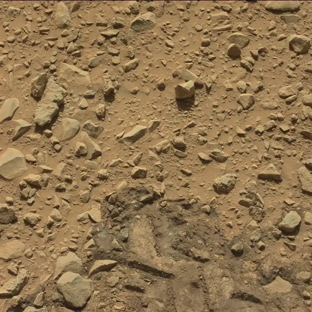 Sol 494: Mast Camera (Mastcam)