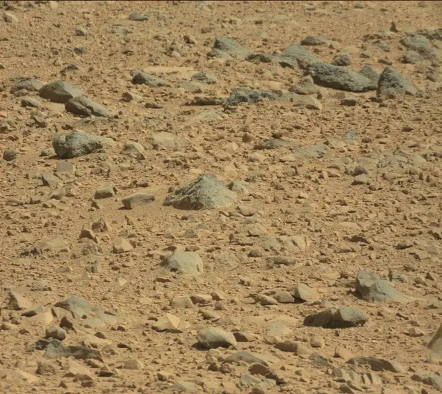 Sol 494: Mast Camera (Mastcam)