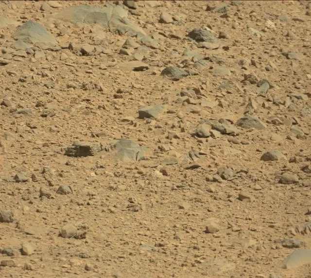 Sol 494: Mast Camera (Mastcam)