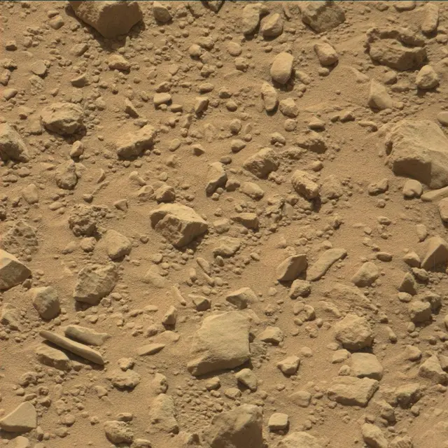 Sol 494: Mast Camera (Mastcam)