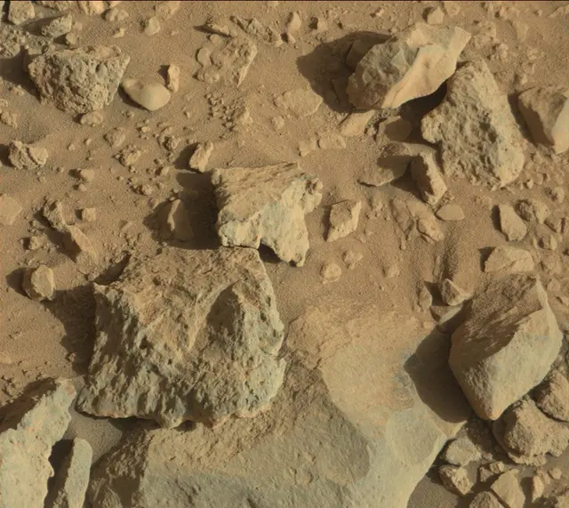 Sol 502: Mast Camera (Mastcam)