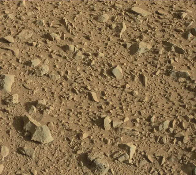Sol 504: Mast Camera (Mastcam)