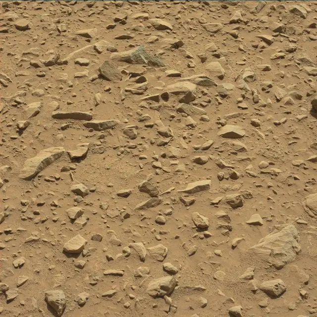 Sol 505: Mast Camera (Mastcam)