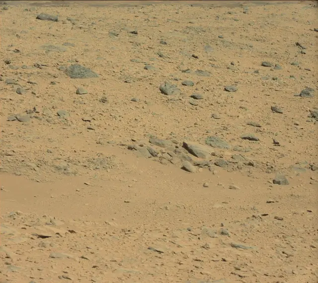 Sol 506: Mast Camera (Mastcam)