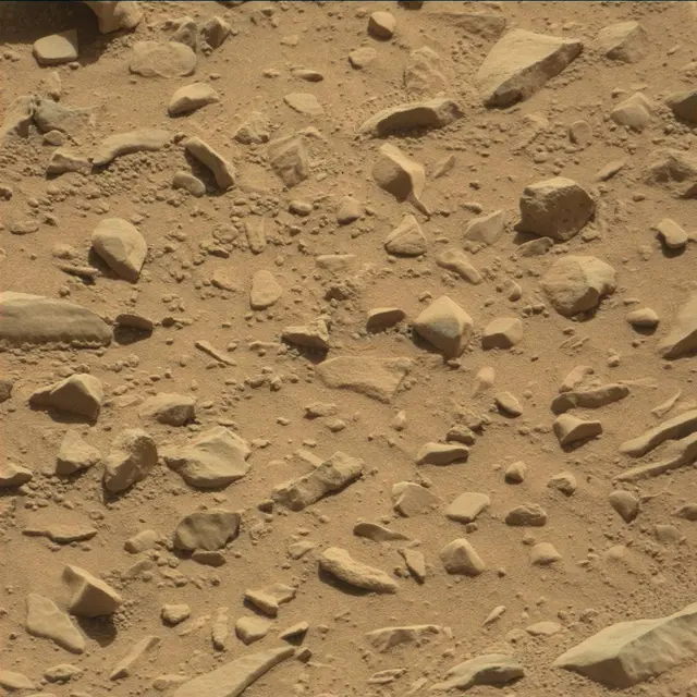 Sol 507: Mast Camera (Mastcam)