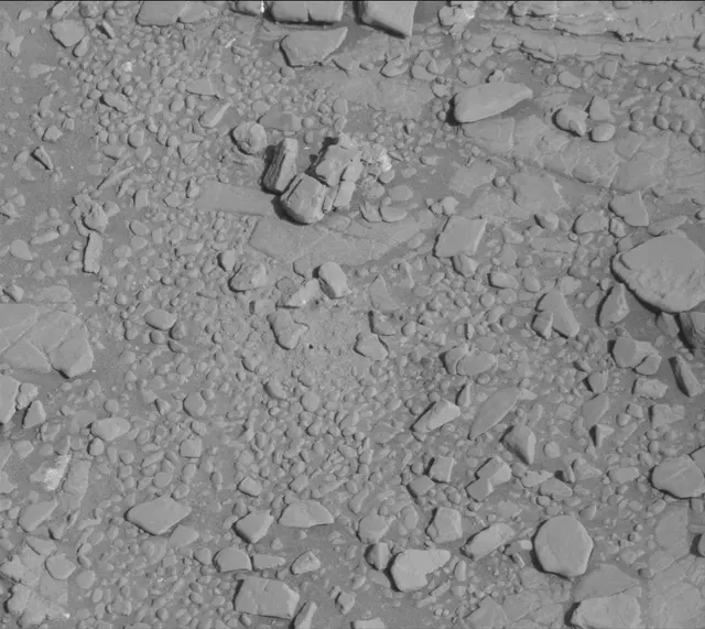 Sol 2539: Mast Camera (Mastcam)