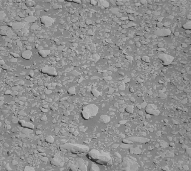 Sol 2556: Mast Camera (Mastcam)