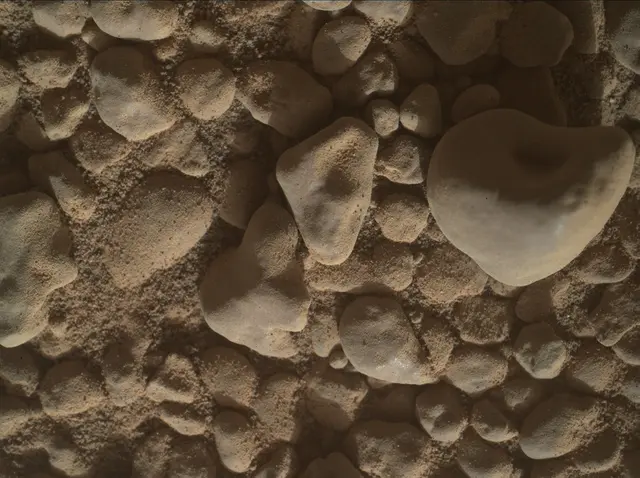 Sol 2558: Mars Hand Lens Imager (MAHLI)