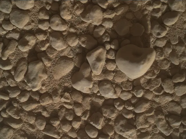 Sol 2558: Mars Hand Lens Imager (MAHLI)