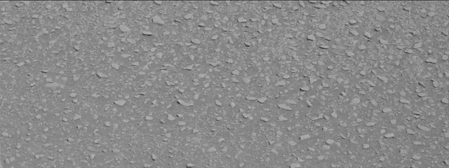 Sol 2559: Mast Camera (Mastcam)