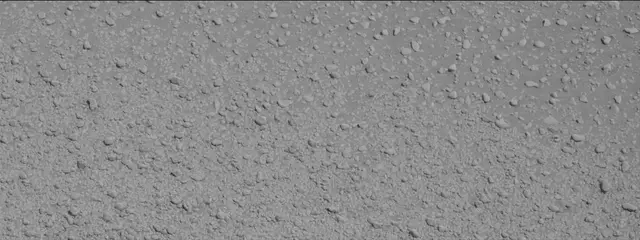 Sol 2559: Mast Camera (Mastcam)