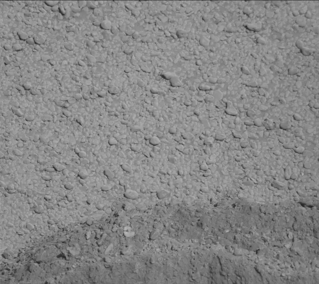 Sol 2559: Mast Camera (Mastcam)