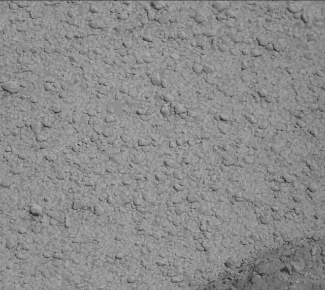 Sol 2559: Mast Camera (Mastcam)