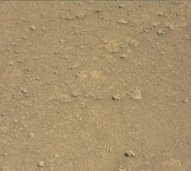 Sol 2563: Mast Camera (Mastcam)