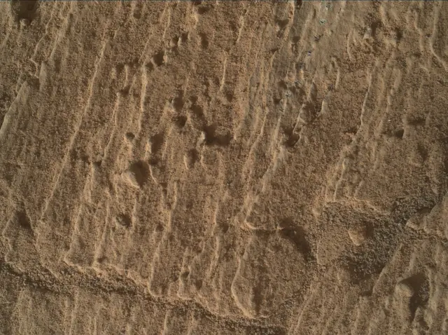 Sol 2585: Mars Hand Lens Imager (MAHLI)