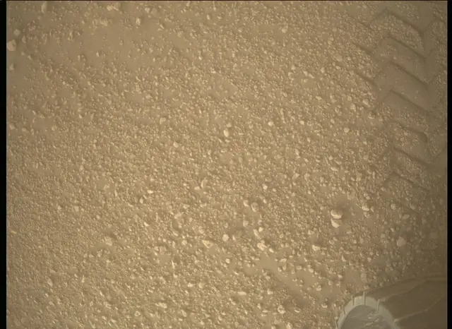 Sol 2590: Mars Descent Imager (MARDI)