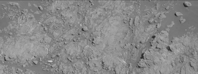 Sol 2591: Mast Camera (Mastcam)