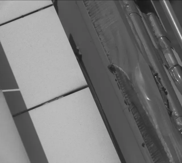 Sol 2600: Mast Camera (Mastcam)