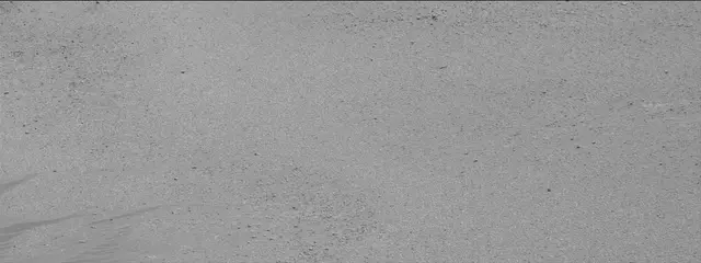 Sol 2601: Mast Camera (Mastcam)