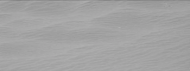 Sol 2601: Mast Camera (Mastcam)