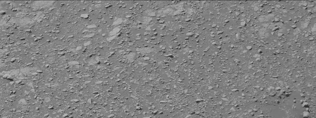 Sol 2602: Mast Camera (Mastcam)