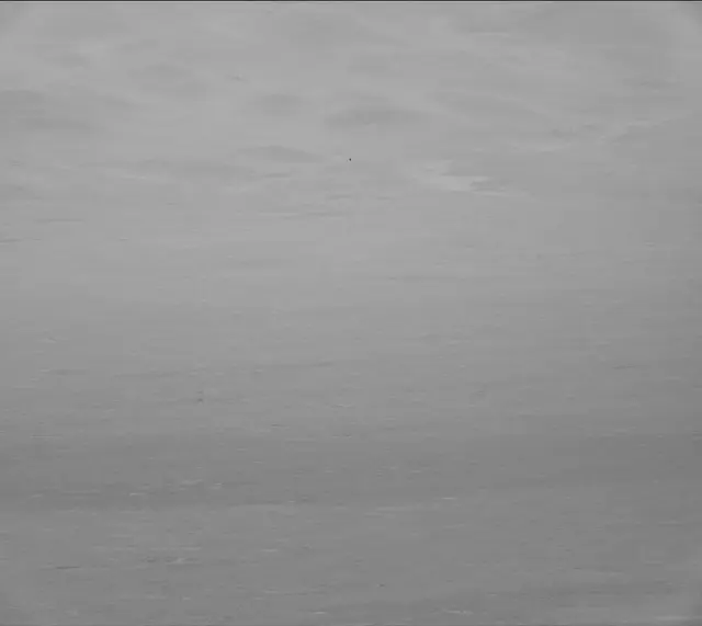 Sol 2602: Mast Camera (Mastcam)