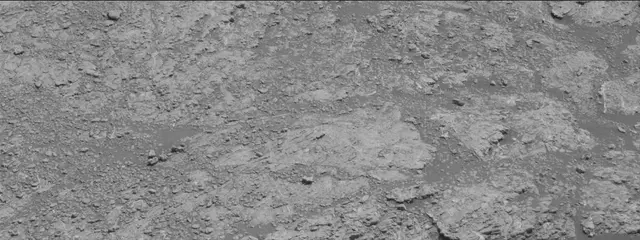 Sol 2609: Mast Camera (Mastcam)