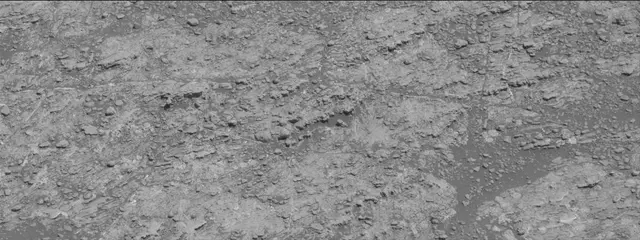 Sol 2609: Mast Camera (Mastcam)