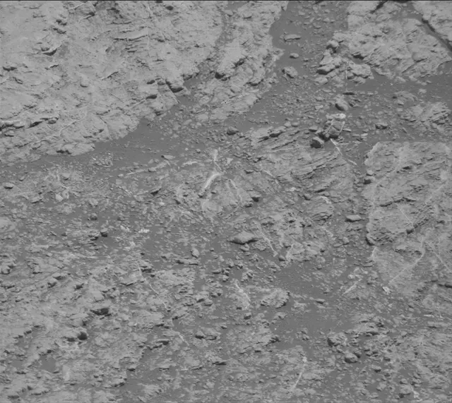 Sol 2609: Mast Camera (Mastcam)