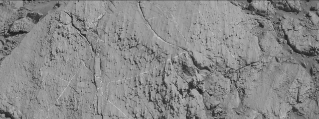 Sol 2613: Mast Camera (Mastcam)