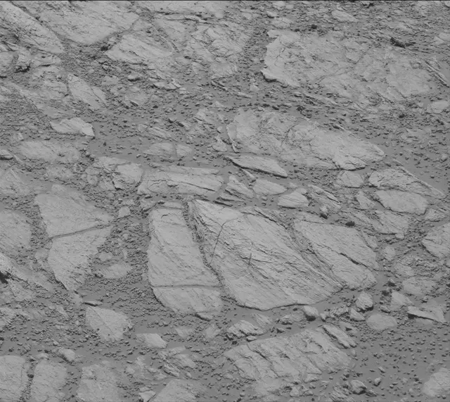 Sol 2613: Mast Camera (Mastcam)