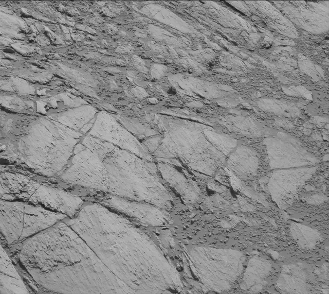 Sol 2613: Mast Camera (Mastcam)