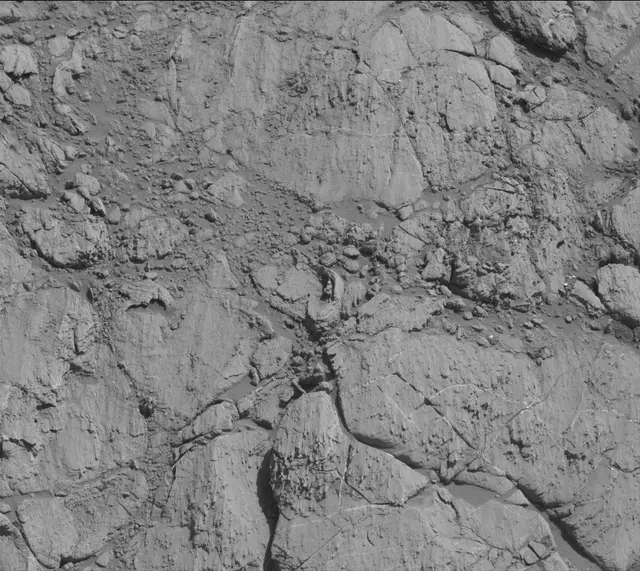 Sol 2613: Mast Camera (Mastcam)