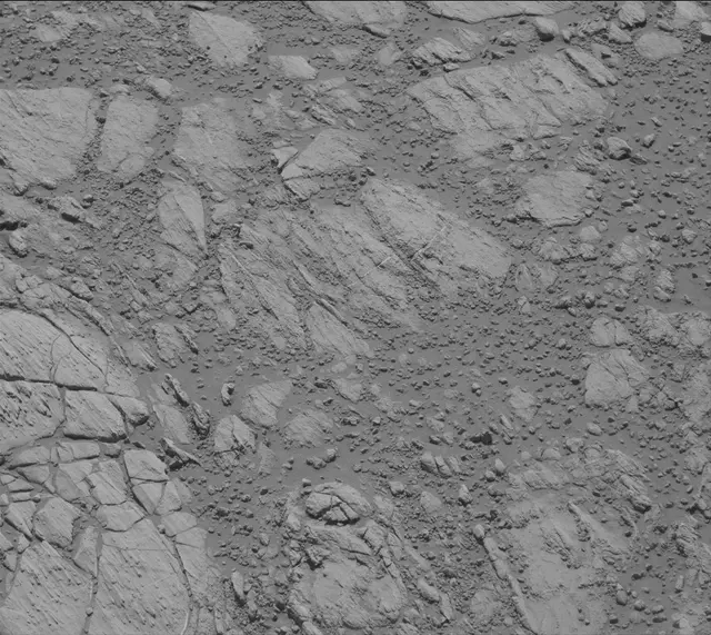 Sol 2613: Mast Camera (Mastcam)