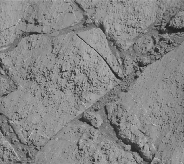 Sol 2613: Mast Camera (Mastcam)