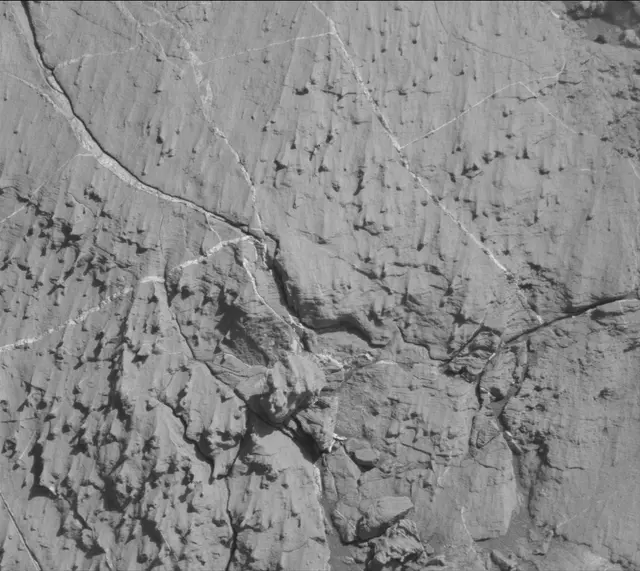 Sol 2613: Mast Camera (Mastcam)