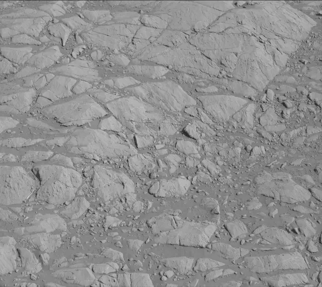 Sol 2617: Mast Camera (Mastcam)