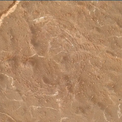 Sol 2631: Mars Hand Lens Imager (MAHLI)
