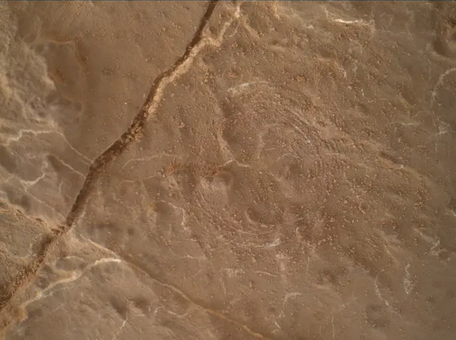 Sol 2631: Mars Hand Lens Imager (MAHLI)