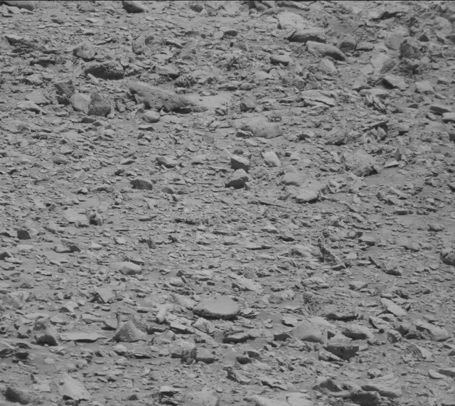 Sol 2635: Mast Camera (Mastcam)