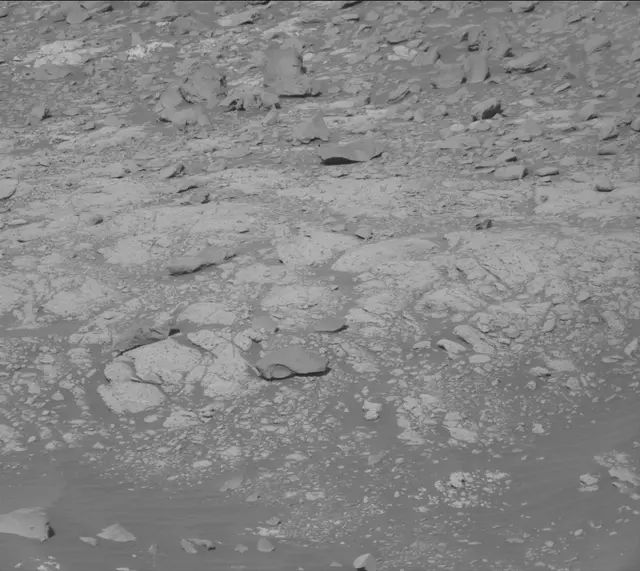 Sol 2654: Mast Camera (Mastcam)