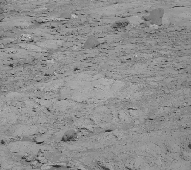 Sol 2654: Mast Camera (Mastcam)