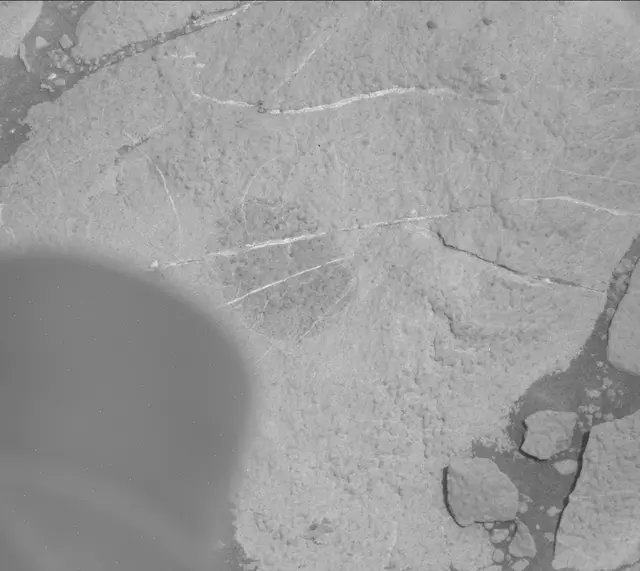 Sol 2654: Mast Camera (Mastcam)