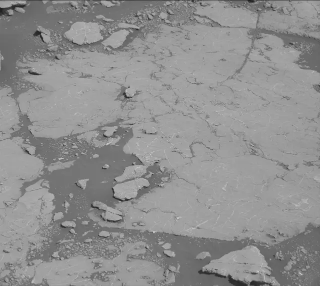 Sol 2658: Mast Camera (Mastcam)