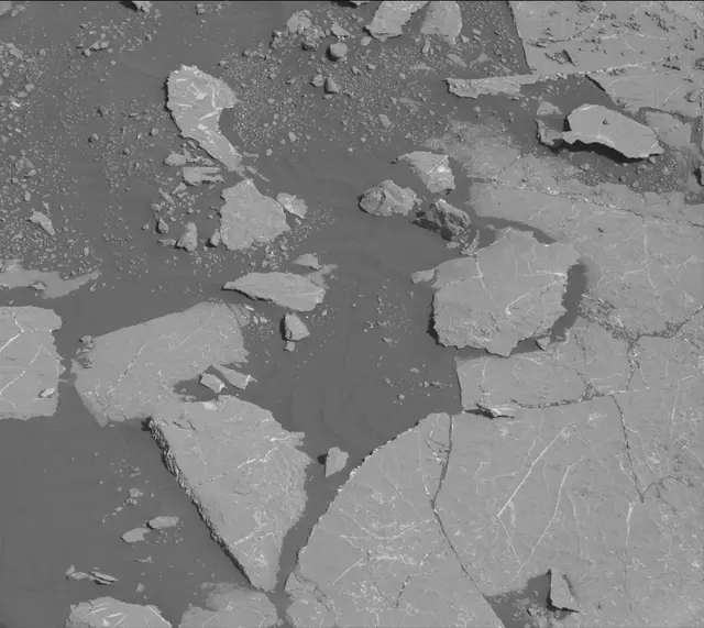 Sol 2658: Mast Camera (Mastcam)