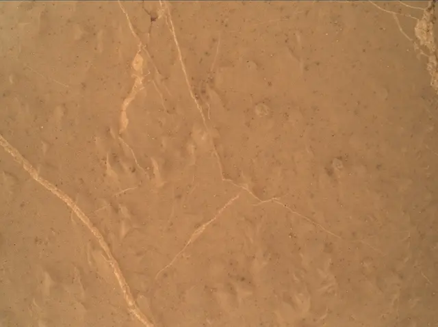 Sol 2658: Mars Hand Lens Imager (MAHLI)