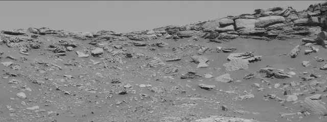 Sol 2659: Mast Camera (Mastcam)