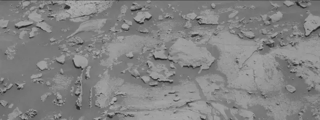 Sol 2663: Mast Camera (Mastcam)