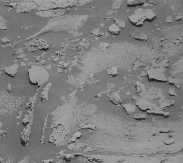 Sol 2663: Mast Camera (Mastcam)